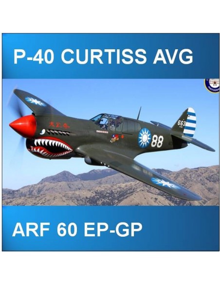 P-40 AVG ARF 60 EP-GP