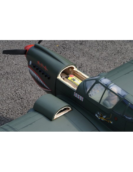 P-40 AVG ARF 60 EP-GP