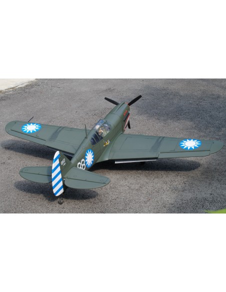 P-40 AVG ARF 60 EP-GP