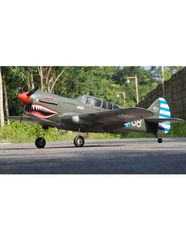 P-40 AVG ARF 60 EP-GP
