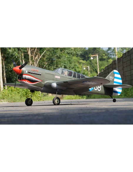 P-40 AVG ARF 60 EP-GP
